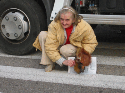 Animaux - Mammif�res - 